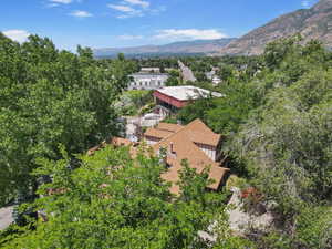 Mature Trees provide Privacy