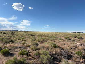 View of local wilderness featuring rural landscape