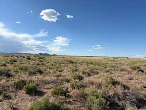 View of nature with rural landscape