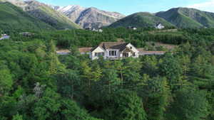 View of mountain backdrop featuring a forest