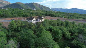 View of mountain backdrop with a heavily wooded area