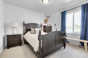 Carpeted bedroom featuring multiple windows