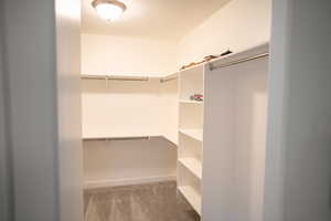 Walk in closet with carpet