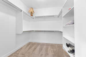 Spacious closet with carpet flooring