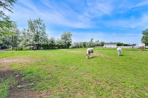 View of yard with a view of countryside