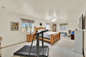 Bedroom featuring multiple windows and ceiling fan