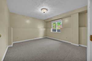 Spare room with carpet flooring and a textured ceiling
