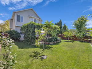 Fenced backyard with a vegetable garden