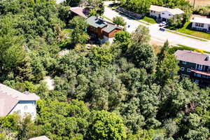 Aerial perspective of suburban area featuring a heavily wooded area