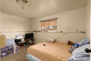 Bedroom featuring carpet floors