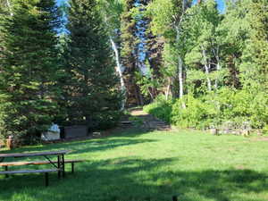 View of grassy yard with a wooded view