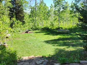 View of green lawn