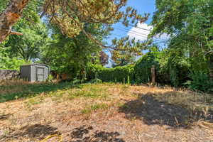 View of yard with a storage unit