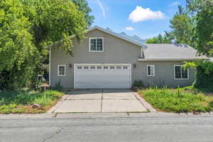 Traditional-style home featuring concrete driveway and a shingled roof