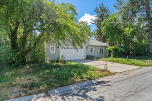 View of property hidden behind natural elements with concrete driveway
