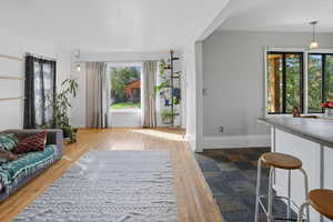 Living room with baseboards and dark wood-type flooring