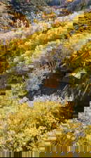 View of subject property featuring a forest