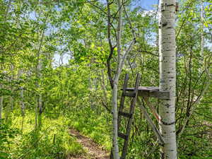 Start of the Zipline.