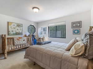Bedroom with carpet
