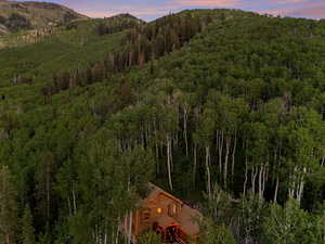 Mountain view featuring a heavily wooded area