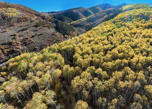 Nix Canyon with the property in the trees.
