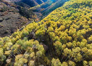 Nix Canyon with the property in the trees.