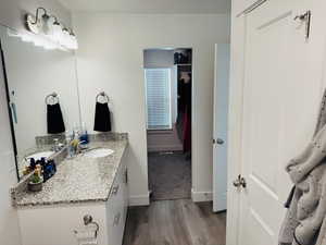 Bathroom featuring wood finished floors and vanity