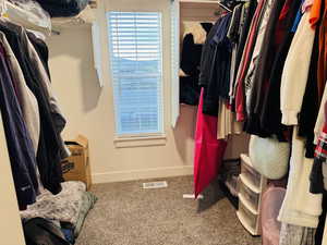 Master Closet