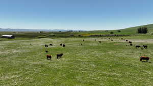 View of yard with a view of rural / pastoral area and a mountain view