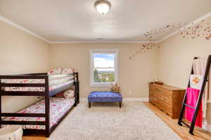 2nd Bedroom featuring crown molding and a textured ceiling