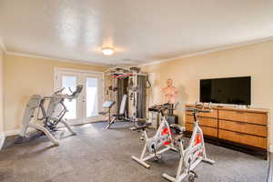 Workout room in Primary bedroom with a textured ceiling, ornamental molding, and french doors