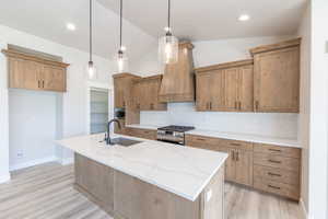 Kitchen featuring stainless steel appliances, custom range hood, vaulted ceiling, tasteful backsplash, and a center island with sink
