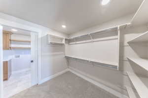Spacious closet featuring light colored carpet