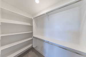 Walk in closet with carpet