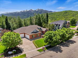 View of mountain background with a heavily wooded area
