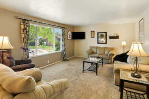 Living room with carpet flooring and a textured ceiling