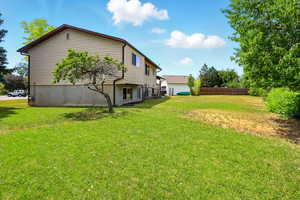 Large backyard