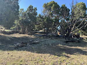 View of undeveloped land