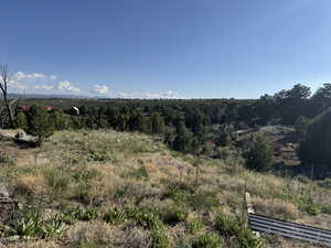View of mountain background