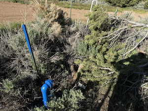 water paid and stubbed