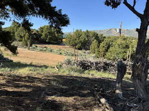 View of yard with a mountain view and a rural view- bike atv paths- trimmed trails- tree house -