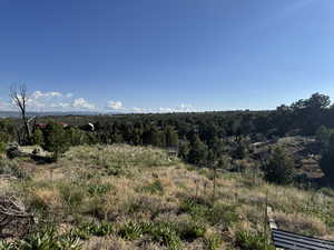View of mountain background