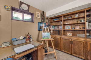 Basement Bonus Room