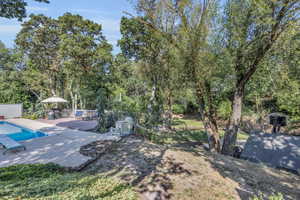 View of yard featuring a wooden deck, diving board.