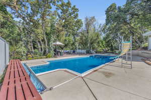 Swimming pool featuring a patio area, a water slide, and view of scattered trees