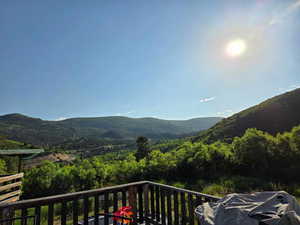 Back deck day view to the East.