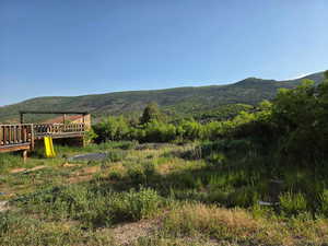 Some of the backyard from the side veiw in.