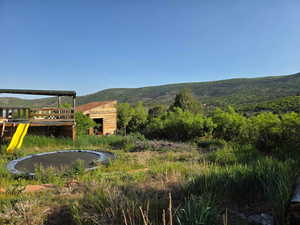 Some of the backyard from the side veiw in.