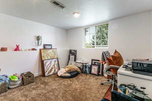 Office space with carpet and a textured ceiling