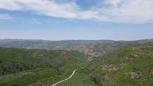 View of mountain backdrop with a heavily wooded area